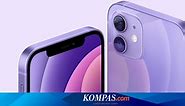 Harga iPhone 12 Baru Resmi di Indonesia, Sekarang mulai Rp 11 jutaan