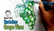How to Draw Grape vines step by step really easy