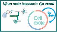 G0 Phase of Cell cycle | Why cells enter a G0 phase? | Cell cycle | Animated biology with ARPAN | G0