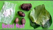 Betel Nut (Areca Palm) Review - Weird Fruit Explorer Ep. 100