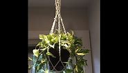 How to make a macrame hanger - step by step tutorial