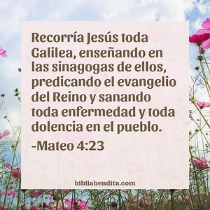Explicación Mateo 4:23. 'Recorría Jesús toda Galilea, enseñando en las sinagogas de ellos, predicando el evangelio del Reino y sanando toda enfermedad y toda dolencia en el pueblo.' - BibliaBendita