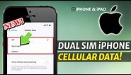 How to Switch Cellular Data Settings on Dual SIM iPhone?