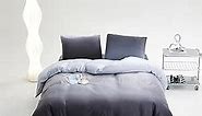 Wellboo Grey Gradient Velvet Duvet Cover Sets Queen Silver Grey Fluffy Bedding Covers Modern Plain White and Dark Grey Flannel Quilt Cover Farmhouse Art Gray Comforter Cover Micromink Sherpa Fuzzy Bed