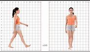 Female Standard Walk - Grid Overlay. Animation Reference Body Mechanics