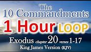 10 Commandments - Exodus 20:1-17 King James Version KJV - c1 HOUR LOOP