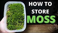 How To Store Moss For Terrariums - The EASY Way!