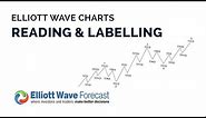 How to Read and Label Elliott Wave Charts | Learn Elliott Wave | Elliott Wave Forecast