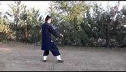 Wudang Tai Chi 13 Postures