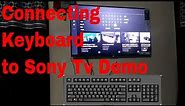 Connecting Keyboard to Sony Smart Tv | Sony BRAVIA W772E LED TV