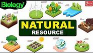 Natural Resource | Types of Natural Resources | Renewable & Non-Renewable Resources