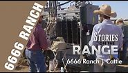 6666 Ranch Cattle Program