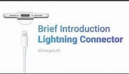 How Lightning Cable Works? | Brief Introduction of Lightning Connector