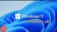 Windows 11 Wallpaper 4K (Resolution) Official | Download Now