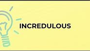What is the meaning of the word INCREDULOUS?