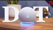 Amazon Echo Dot (5th gen - 2022) and Echo Dot with Clock review