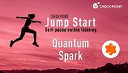 Check Point Jump Start: Quantum Spark – 14- Configure Interfaces