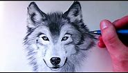 How to Draw a Wolf