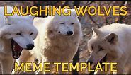 How to Make a Laughing Wolves Meme (Free Template)