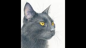 How to Paint a Realistic Black Cat in Watercolor, Course Preview