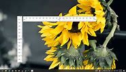 How to add a ruler to the screen on Windows 10