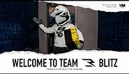Blitz The Seahawk: Welcome to Team 3!