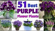 51 Purple flower plants with Names | Purple flowering plants identification | Plant and Planting
