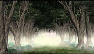 dark creepy forest Halloween video background set A - free use