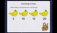 Counting in 2s 5s and 10s