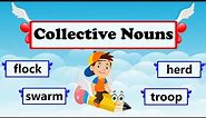 What Are Collective Nouns? | Definition and Examples | Collective Nouns for Animals