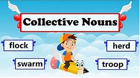 What Are Collective Nouns? | Definition and Examples | Collective Nouns for Animals