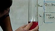 How to Correctly Read a Graduated Cylinder