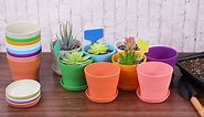 4 Inch Plastic Flower Plant Pots
