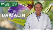 What are the Uses and Benefits of Baicalin | Ingredients with Ian Taylor | Green People UK