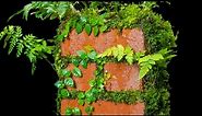 Living Moss Brick (Satisfying and Relaxing Build)