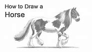 How to Draw a Horse (Gypsy Vanner / Irish Cob)