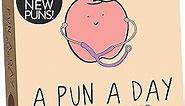 2024 Punny Daily Desk Calendar | Funny Calendar 2024 Day to Day for Home or Office, Daily Calendar 2024 Page a Day, Dad Joke Calendar with Tear Off Pages and Daily Puns, The Perfect Funny