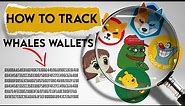 How to track Crypto WHALES? Follow Meme Coins Whales