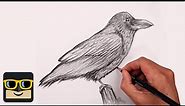How To Draw a Raven | Sketch Tutorial