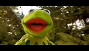 Kermit's Swamp Years Part 2