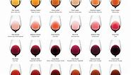 Complete Wine Color Chart (Download) | Wine Folly
