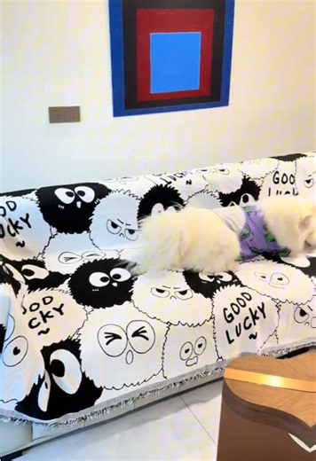 This sofa cover combines functionality and style. It’s the perfect addition to any home with its non-slip design, wear-resistant fabric,and washable features. Ideal for protecting furniture from pets, spills, and scratches. The sleek, modern look also enhances your home decor. Whether you have dogs, cats, or just want to keep your sofa looking fresh, this cover has got you covered! #SofaCover #CouchCover #WashableCouchCover #PetFriendlySofaCover #NonSlipCouchCover