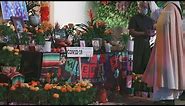 Dia de los Muertos celebrations in San Antonio announced