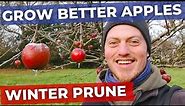 How to Prune Apple Trees in Winter - Full in Depth Tutorial