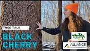 Tree Talk: Black Cherry