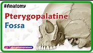 Pterygopalatine fossa : Head and neck Gross anatomy , medical animation