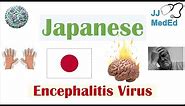 Japanese Encephalitis Virus (JEV) | Transmission, Pathogenesis, Symptoms, Diagnosis, Treatment