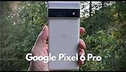 Pixel 6 Pro Cloudy White UnBoxing - First Look!