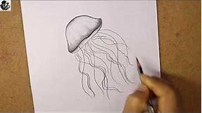 How to draw Jellyfish step by step | Pencil sketch Jellyfish | Himan Artists