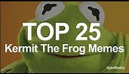 Top 25 Kermit "None Of My Business Though "Meme"